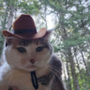 Meet your Posher, Ciony